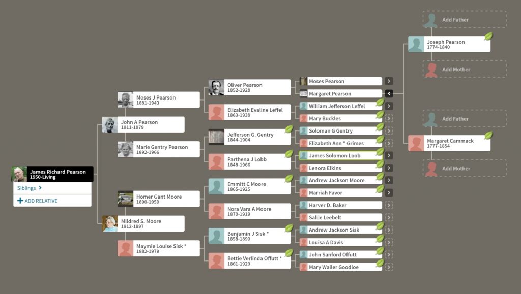 Monthly Tree Update | The Moses Pearson Family Web